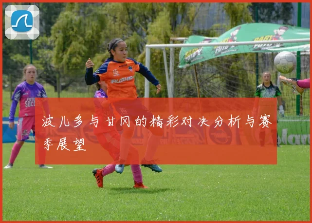 波儿多与甘冈的精彩对决分析与赛季展望