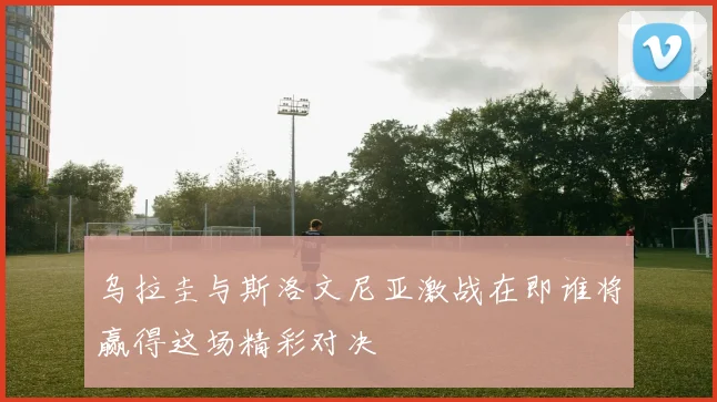 乌拉圭与斯洛文尼亚激战在即谁将赢得这场精彩对决