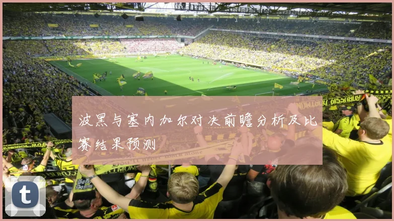 波黑与塞内加尔对决前瞻分析及比赛结果预测