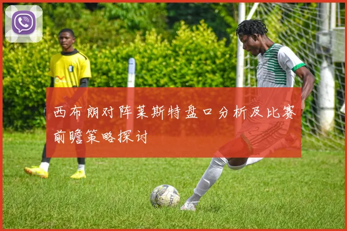 西布朗对阵莱斯特盘口分析及比赛前瞻策略探讨